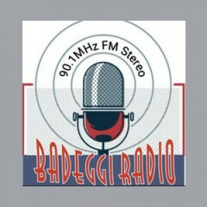 Badeggi Radio 90.1 FM